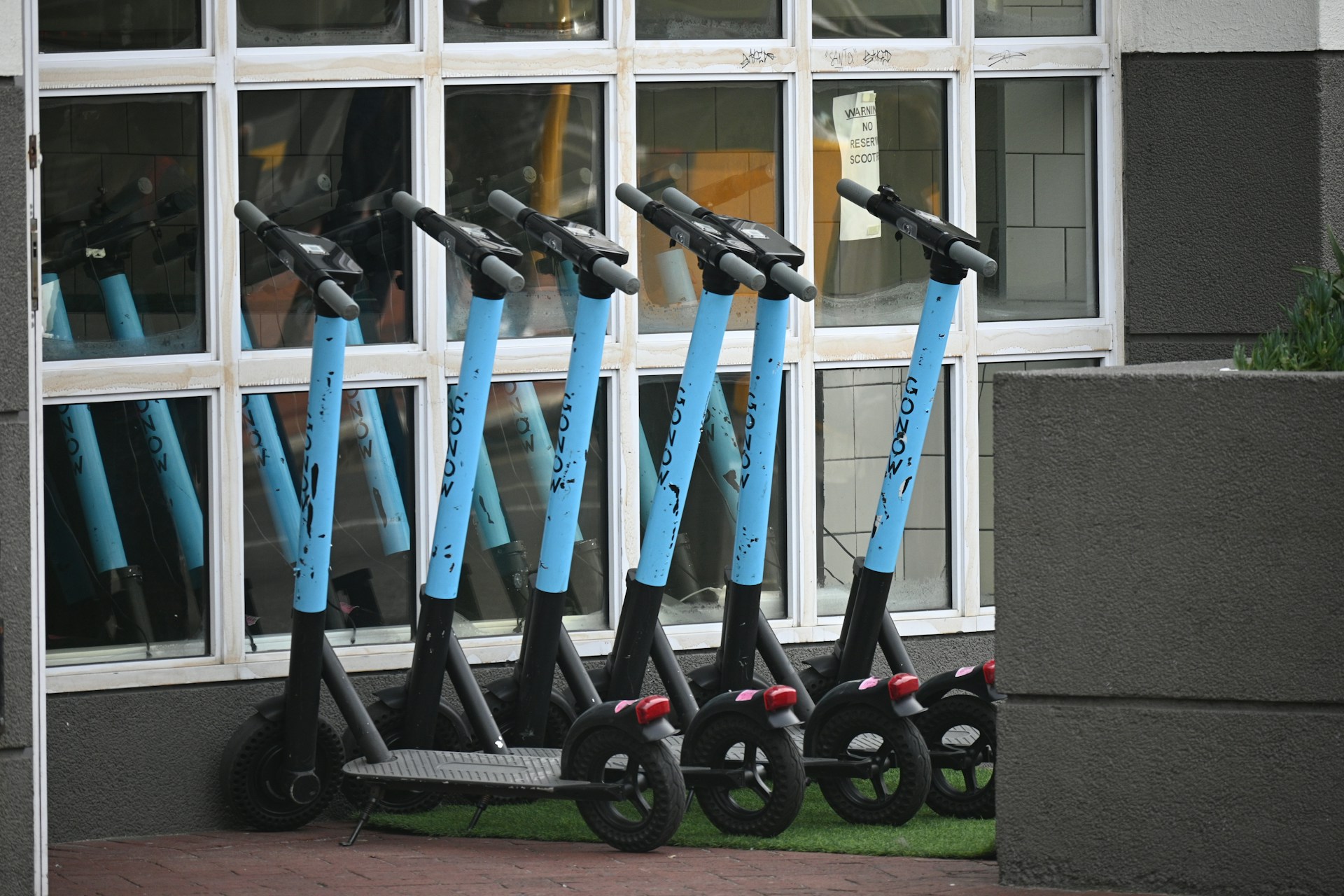 Scooter adults